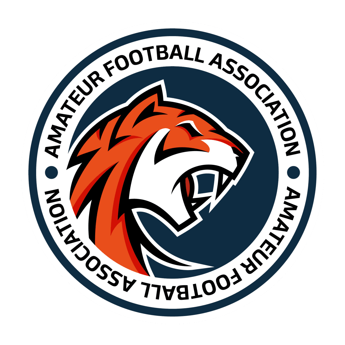 Logo AFA Cup